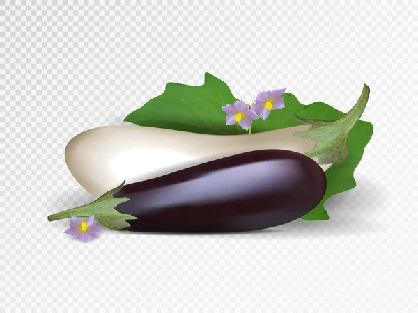紫と白の野菜のベクトルを設定します。透明な背景に分離した紫と白ナス. — ストックベクタ