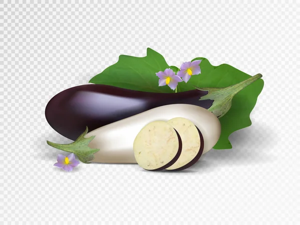 Векторный набор фиолетовых и белых овощей. Фиолетовые и белые баклажаны изолированы на прозрачном фоне . — стоковый вектор