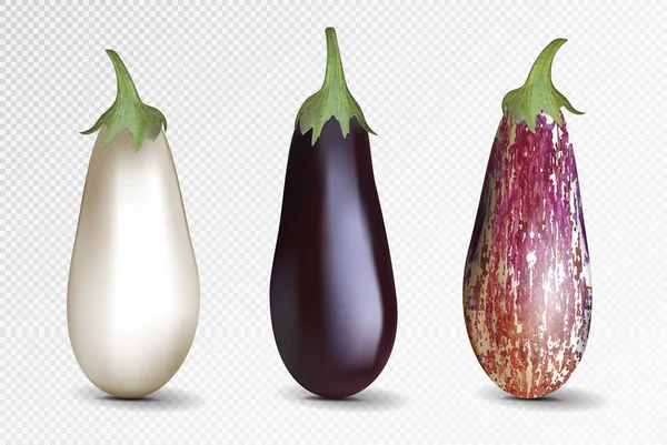 Vector fotorealistiska färsk aubergine på en transparent bakgrund. 3D aubergine illustration. — Stock vektor