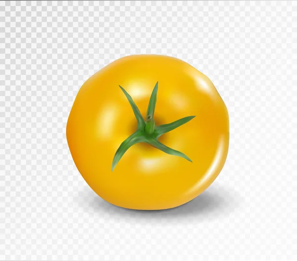 Lado superior del tomate. Vector realista. Tomate amarillo sin cola . — Vector de stock