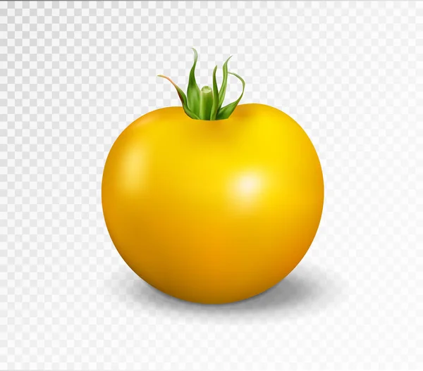 Tomate amarelo. Ilustração vetorial realista — Vetor de Stock