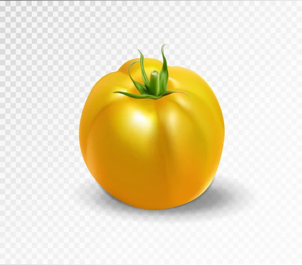Gele tomaat. Realistische vectorillustratie — Stockvector