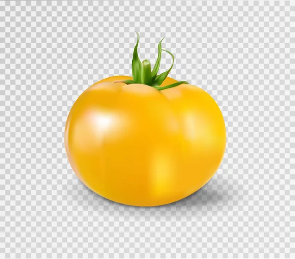Żółty pomidor. Ilustracja wektorowa realistyczne — Wektor stockowy