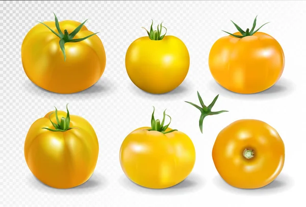Tomatenset vorhanden. Gelbe Tomate. fotorealistische Vektortomaten auf transparentem Hintergrund. — Stockvektor