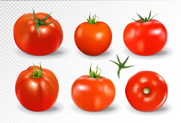 Tomatenset vorhanden. Gelbe Tomate. fotorealistische Vektortomaten auf transparentem Hintergrund. — Stockvektor