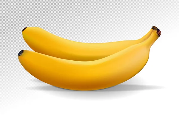 Manojo de plátanos aislados sobre fondo transparente. Frutos realistas. Dos plátanos maduros. Ilustración vectorial . — Vector de stock