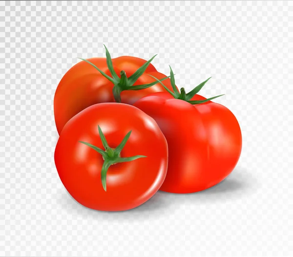 Gruppe von drei realistischen Tomaten isoliert auf einem transparenten Hintergrund. Vektorillustration.. — Stockvektor