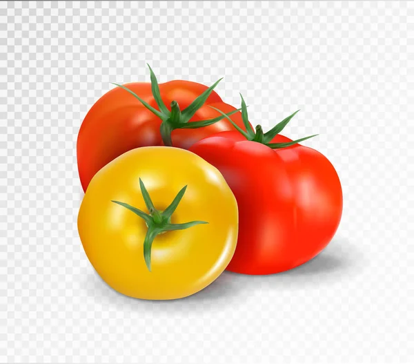 Group of three realistic tomatoes isolated on a transparent background. Red and yellow tomato set. Vector 3d illustration. — Stock Vector