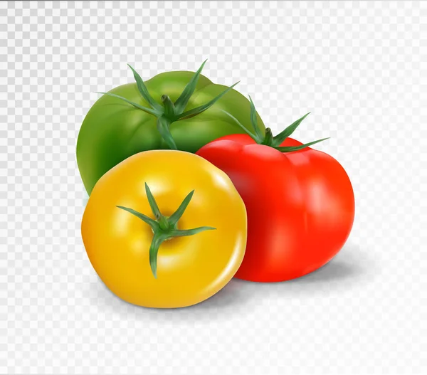 Gruppe von drei realistischen Tomaten isoliert auf einem transparenten Hintergrund. Tomatenset rot, gelb und grün. Vektor 3D Illustration. — Stockvektor