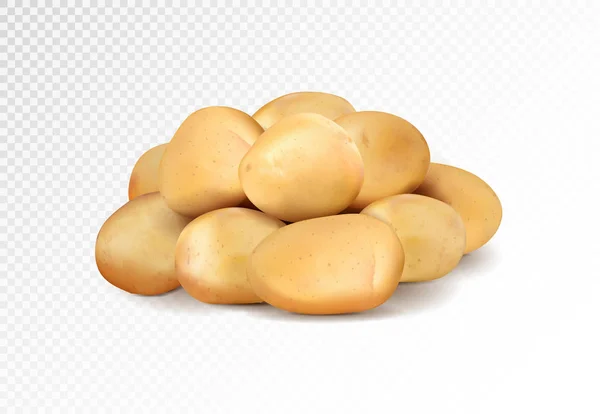 Realistische Vektorkartoffeln tasten auf transparentem Hintergrund. — Stockvektor