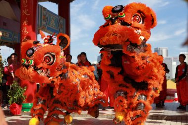 2017 Çin yeni yılı