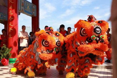 2017 Çin yeni yılı