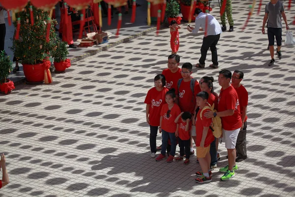 2017 Çin yeni yılı