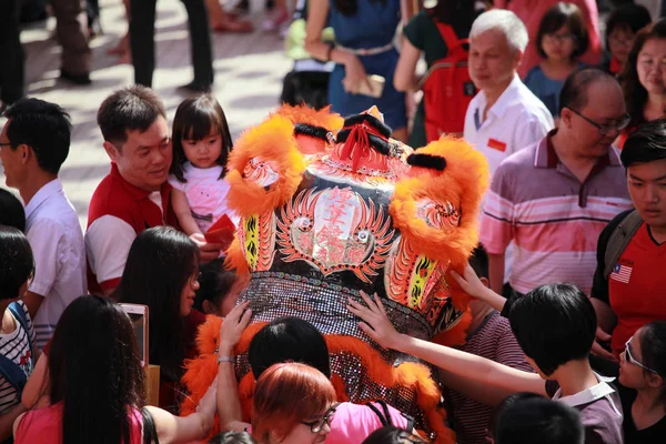 2017 nouvel an chinois — Photo