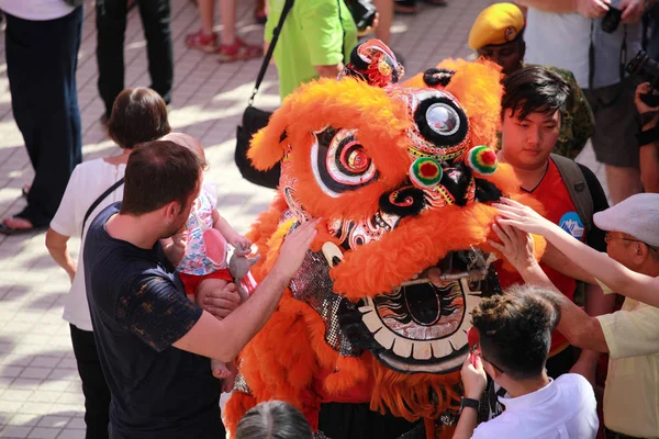 2017 Çin yeni yılı