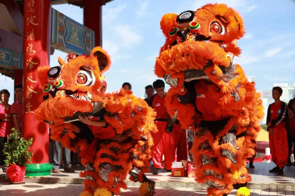 2017 Çin yeni yılı