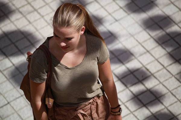 2017 Çin yeni yılı