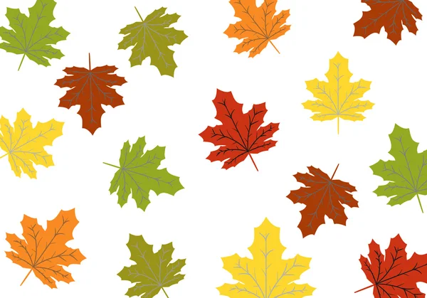 Autumn maple leaves — Stock Vector