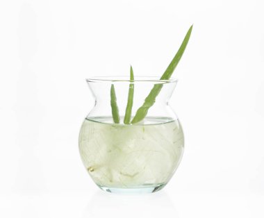 aloe vera jeli