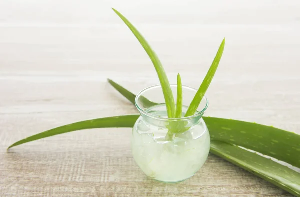 Aloe vera żel — Zdjęcie stockowe