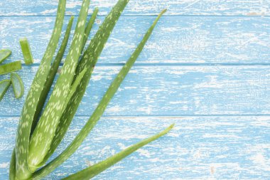 aloe vera, üstten görünüm