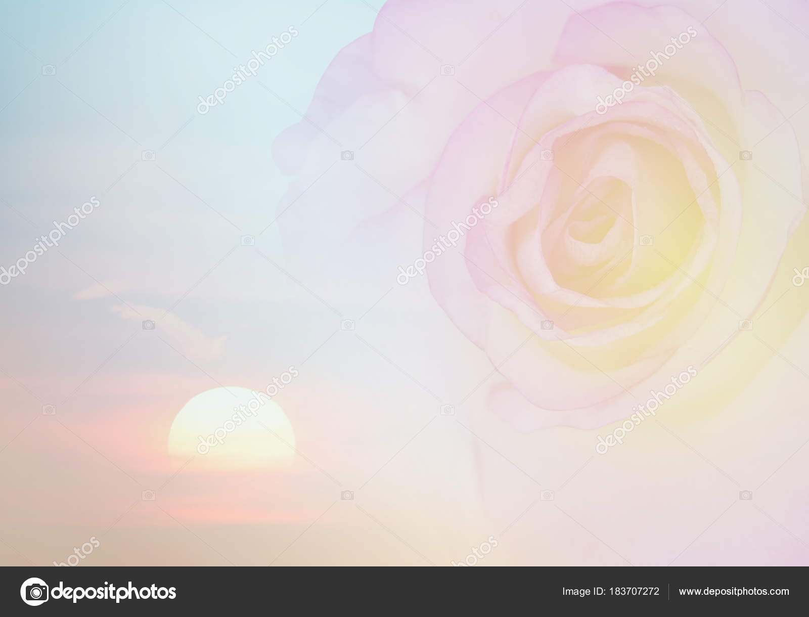 Invitation Card Blurred Rose Pastel Colors Wedding Card Template Floral