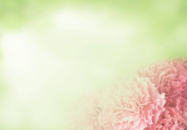 Pembe karanfilli davetiye kartı. Düğün kartı şablonu. Çiçek arka plan. Çiçeklerle şıklık deseni