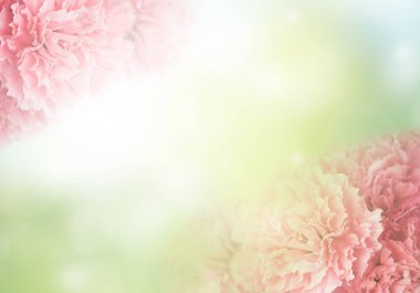 Pembe karanfilli davetiye kartı. Düğün kartı şablonu. Çiçek arka plan. Çiçeklerle şıklık deseni