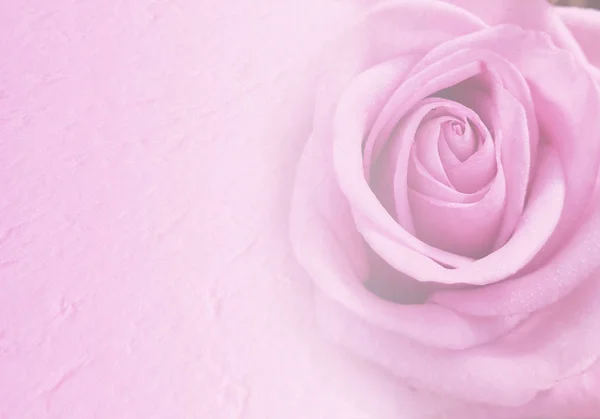 Kutsu Kortti Hämärtynyt Vaaleanpunainen Ruusu Hääkortti Malli Kukkatausta Eleganssi Kuvio — kuvapankkivalokuva