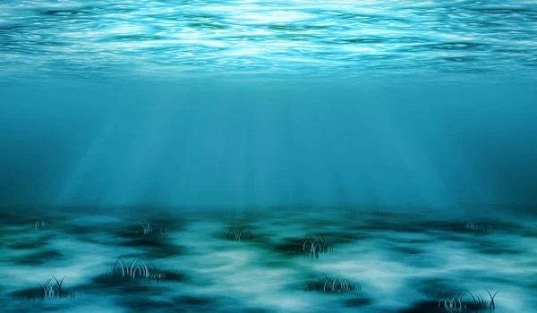 Underwater view of the sea surface or Tranquil underwater scene with copy space.