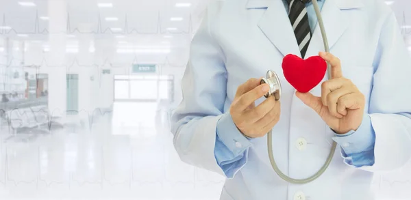 Heart health care. Doctor holding stethoscope test heart medical with copy space ward hospital background.