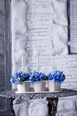 Mavi ortancaları tencere 