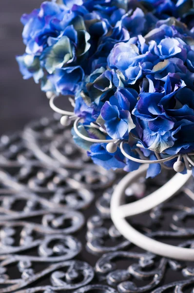 Close-up de hortênsias azuis em vaso — Fotografia de Stock