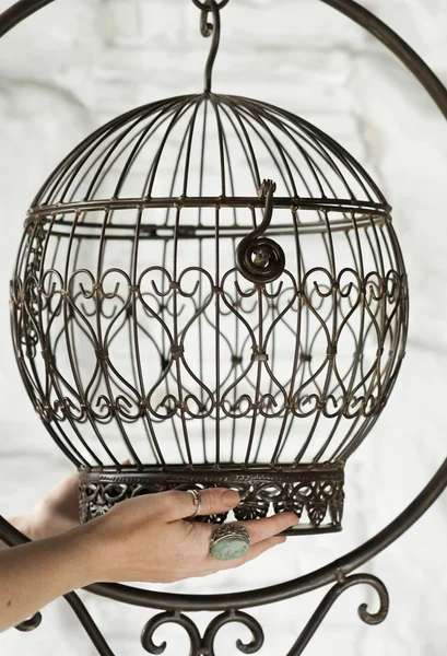 Metal süslü kuş kafesi — Stok fotoğraf