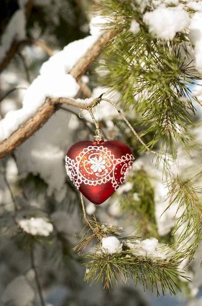 Rood hart speelgoed met kant op een pine tak in het besneeuwde forest. — Stockfoto