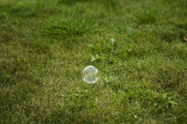 Sabun köpüğü çimenlerin üzerinde