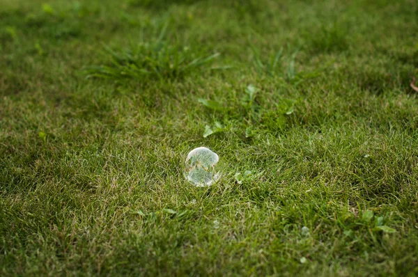 Sabun köpüğü çimenlerin üzerinde