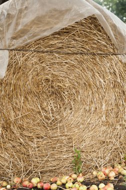 yakın çekim haystacks düşmüş elmalı plastik wrap ile kaplı 