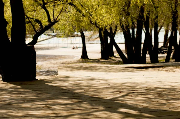 Wooden pier with shadows from trees — Stock Photo, Image