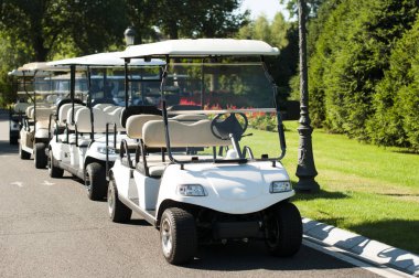 Elektrikli arabalar Park exucursions için