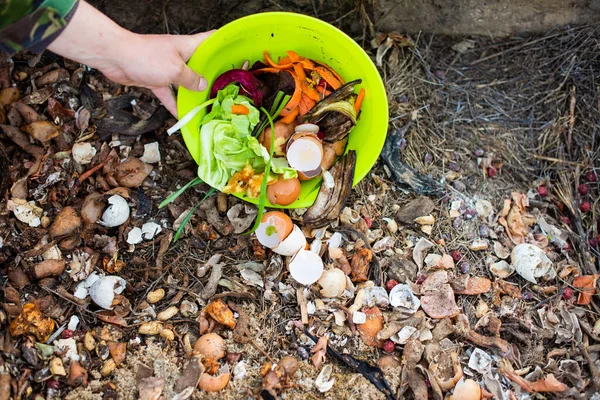 Bahçedeki Bitkiler Için Organik Gıda Artıkları Gübrelemek — Stok fotoğraf