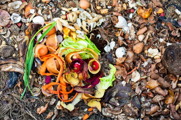 Kompostowanie Organicznych Resztek Żywności Dla Roślin Ogrodzie — Zdjęcie stockowe