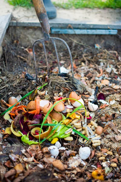 堆肥坑 用于有机废料 用于堆肥中的植物施肥 — 图库照片