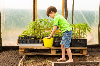 Tatlı küçük çocuk yeşil bir tenekeden sebze tohumu döküyor.