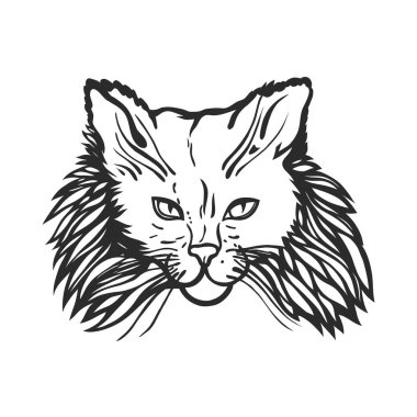 Tüylü kedi başkanı. Kontur, kroki. Vektör çizim.