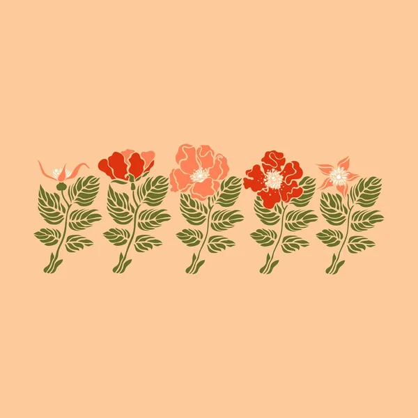 ローズヒップ、野生のバラ。ロサレス。植物のイラスト。ベクトル. — ストックベクタ