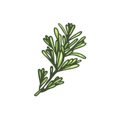 Biberiye fışkın. Vektör çizim.