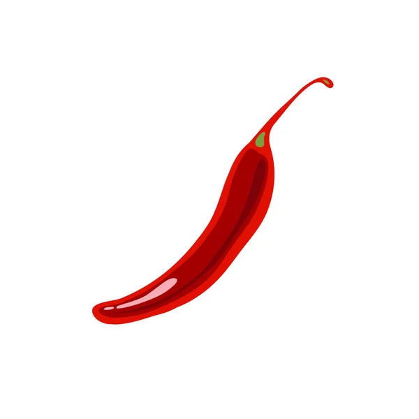 Czerwonej papryczki chilli. Ilustracja wektorowa. — Wektor stockowy
