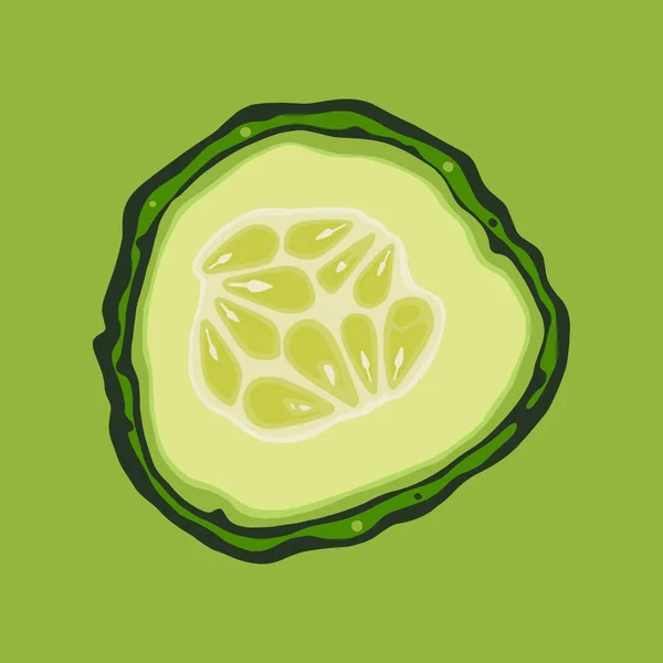 Cucumber. Part in the section. Vector illustration. — Stock Vector