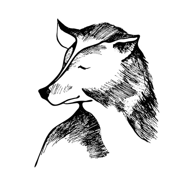Cane. Husky siberiano. Illustrazione disegnata a mano vettoriale . — Vettoriale Stock